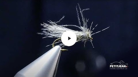 MP 2602 by Marc Petitjean