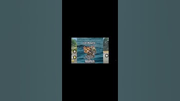 Holger Br Best Build meta now in br