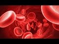 Why Do We Have Different Blood Types?