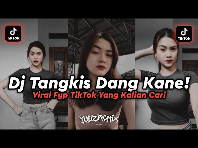 DJ TANGKIS DANG X EMISAWELOW JEDAG JEDUG SLOW BEAT MENGKANE VIRAL FYP TIKTOK!! class=