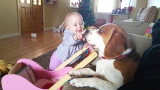 Gentle and Patient Dog Playing with Annoying Baby