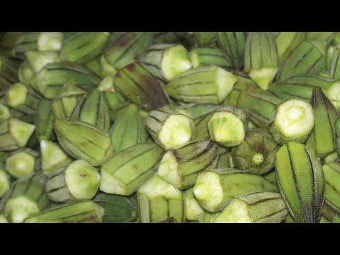 طريقة تفريز البامية على البخار