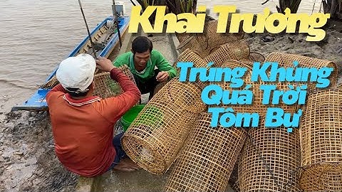 Khai Trương 60 Cái Lờ Mới Ngay Nước Tôm Chạy Trúng Mánh Một Bầy Tôm Bự Thấy Mà Ham | Cldv