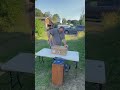 My 1st unboxing. A 3 burner propane forge.