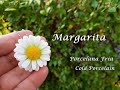 Margarita en Porcelana Fria / Cold Porcelain