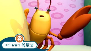바다 탐험대 옥토넛 - 꼬마 딱총새우를 찾아서🦐 - 모음집