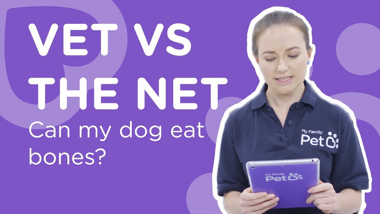 Can My Dog Eat Bones? Vet Vs The Net YouTube