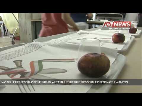 NAS NELLE MENSE SCOLASTICHE, IRREGOLARITA' IN 6 STRUTTURE SU 15 SCUOLE ISPEZIONATE  | 14/11/2024