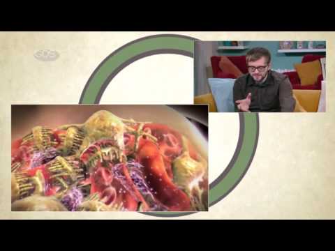 გლუმერულონეფრიტის  განვითარების მიზეზები | პრევენცია და მკურნალობა