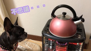 これはおもちゃぢゃないよね！？不思議な音やわ