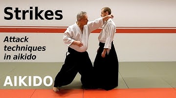 The STRIKE ATTACKS in aikido, by Stefan Stenudd