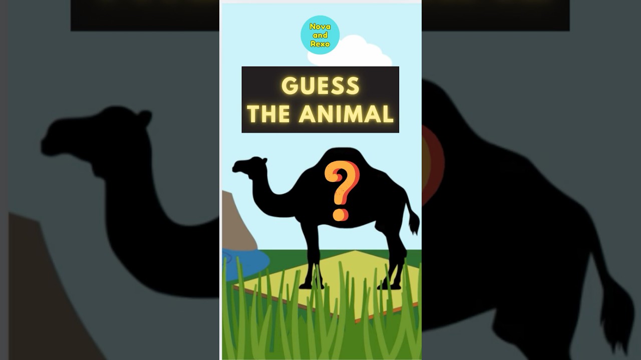 Guess The Animal Who Has Humps? 