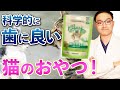 猫の歯のケアについて獣医が解説!〜おやつ、歯磨き、歯石取り〜