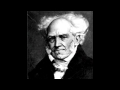 Schopenhauer on Religion, Death and Reproduction