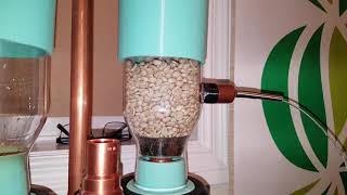 Fluid Bed Coffee Roaster Bean Agitation Test