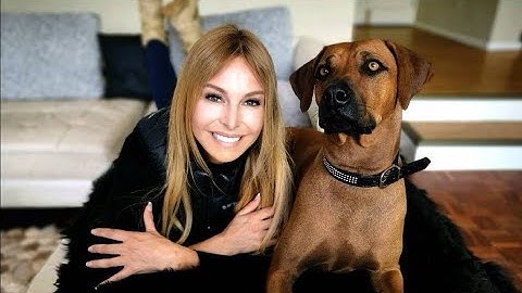 RHODESIAN RIDGEBACK - THE LION DOG OF AFRICA