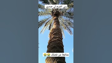 ربي اشرح لي صدري سورة طه تلاوة عطر القرآن الكريم #algeria #الجزائر #ouargla #ورقلة #الشيخ #الصحراء