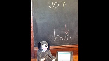 Core Words of the Week-Up and Down