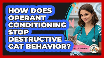 How Does Operant Conditioning Stop Destructive Cat Behavior? - Happy Cat Handbook