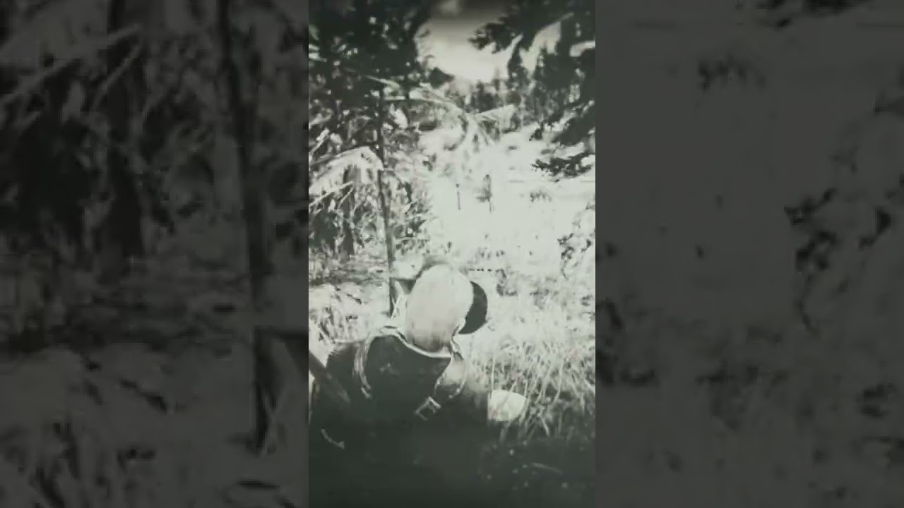 Arthur tries Oleander Sage RDR2