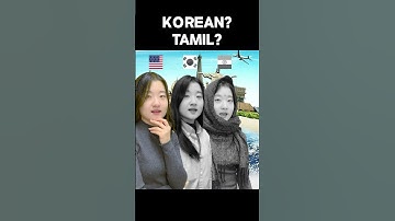 Tamil & Korean… the same? Interesting Language! #indian #family #words