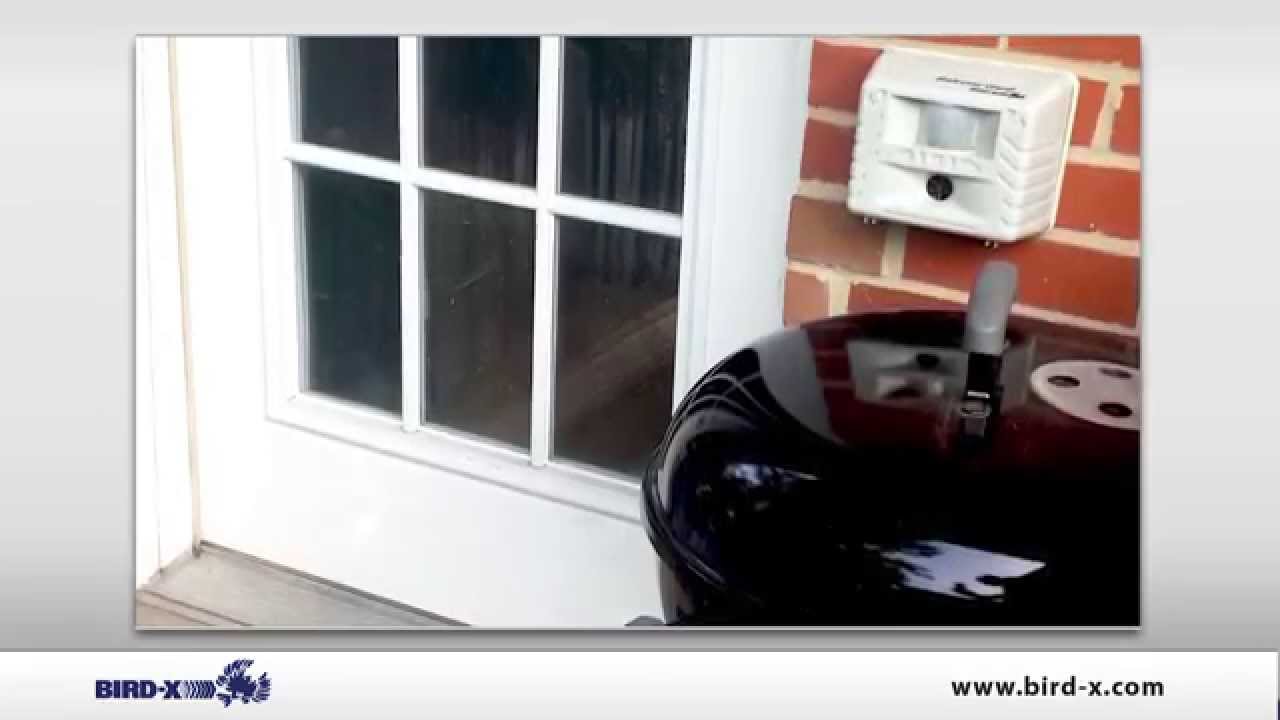 Bird X Balcony Gard Product Video Youtube