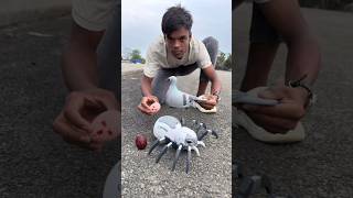 Rc Remote Control Pigeon Birds Vs Rc Spider Unboxing Dese Dekho
