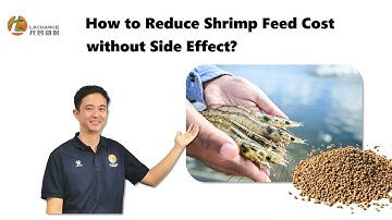 How to Reduce Shrimp Feed Cost without Side Effect? | Bile Acids | replace 20-60% cholesterol(extra)