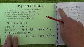 Are 'dog years' for real? An explanation of calculating canine age