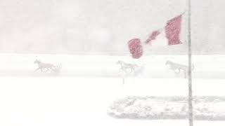 Full Woodbine, Mohawk Park, December 4, 2020 Qualifier #4 News