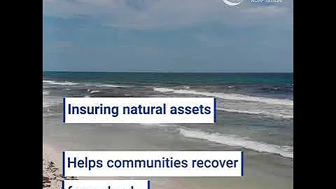 This is how to build a climate-smart city