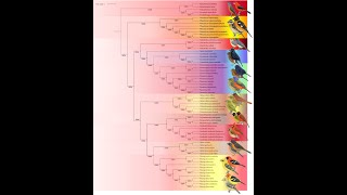 Ben Scott Masters Thesis Defense (San Diego State University)