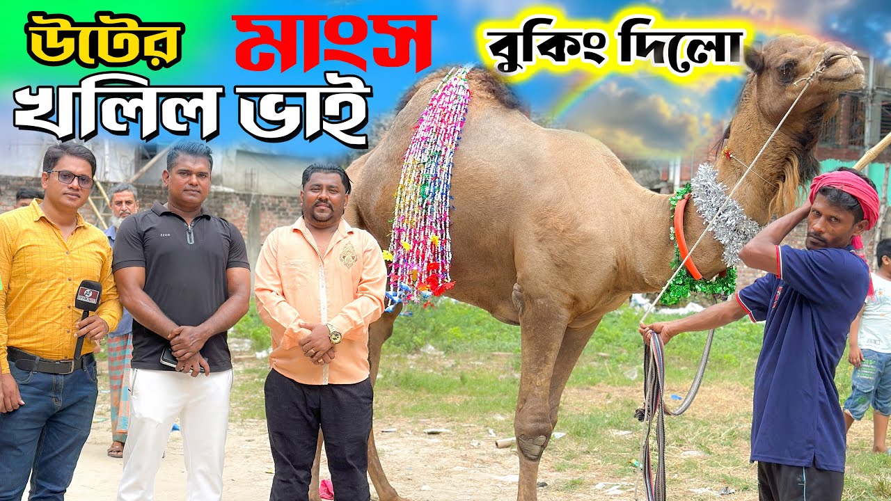 উট দেখতে চলে এলো ভাইরাল খলিল ভাই | কত কেজি উটের মাংস বুকিং দিলো 