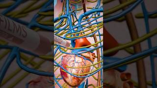 How A Tranquilizer Works Surgeon Reacts