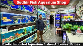 Sudhir Fish Aquarium Shop Vikas Nagar Delhi, Cheapest Aquarium Fishes Across Delhi | Imported Fishes