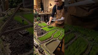 “Giant miniature rice field” #miniature #miniatureworld #miniatureart #miniaturediorama #timelapse