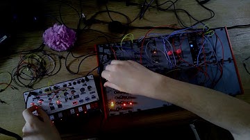 AE Modular x Volca Modular - Live Ambient Performance // "Verse Krakelingen"