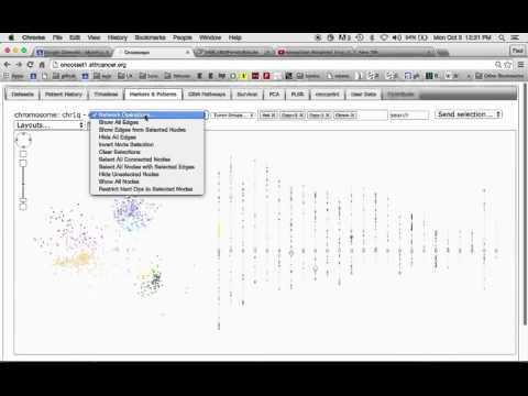 oncoprint/oncoscape demo