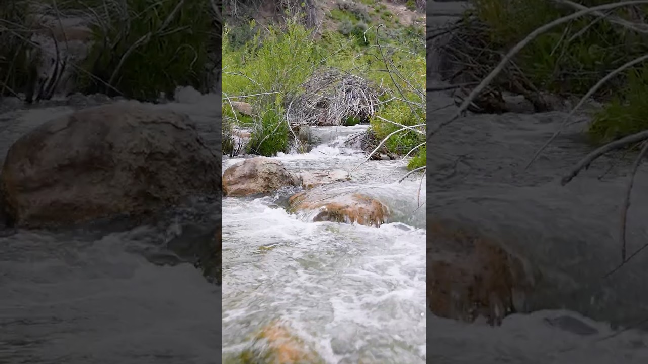 Never Skip This Water When Fly Fishing!