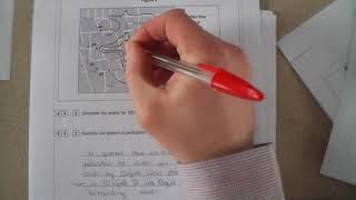 Describing isoline map patterns