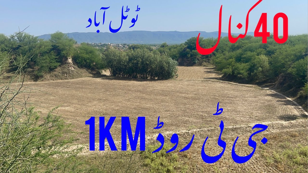 land for sale in chakwal agriculture land for sale in chakwal land for