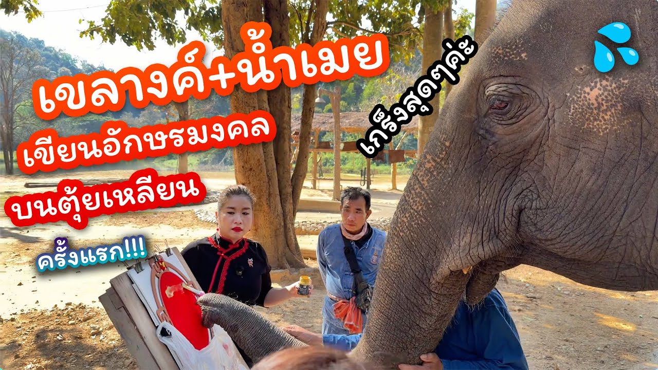Special LIVE ประมูลงานวาดอักษรมงคลภาษาจีน โดยน้องเขลางค์และน้ำเมย ต้อนรับตรุษจีน 5 ก.พ. 2569
