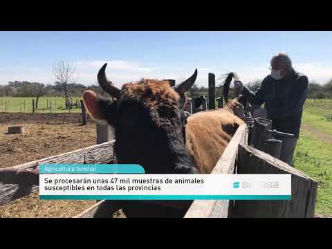 Avanza el saneamiento