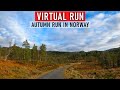 Virtual Run | Virtual Running Videos For Treadmill Nature Scenery 4k