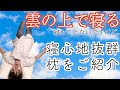 【おすすめまくら】質のいい睡眠を