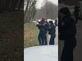 Police abat sanglier après collision 🚗🦌