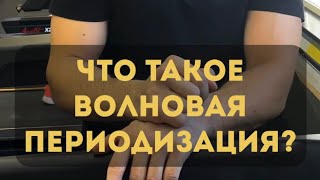 Что такое ВОЛНОВАЯ ПЕРИОДИЗАЦИЯ?💪#спорт #онлайн #отдых #зал #отдых