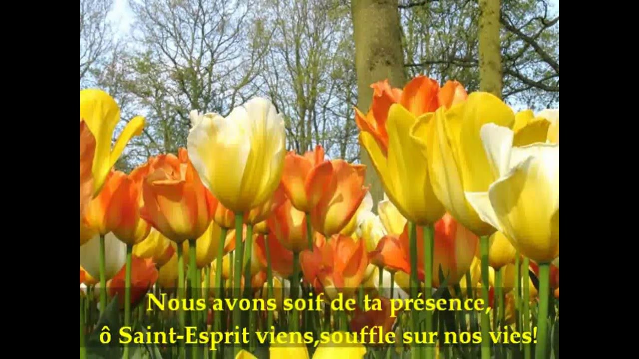 Fernsehstation Tot in der Welt Proportional viens saint esprit viens par ton vent führen