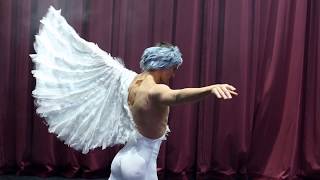 Moscow Ballet's Dove of Peace featuring Olena Petrichenko and Sergey Chumakov
