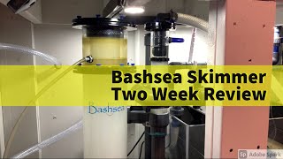 Ep 2 | Bashsea 6-30 Skimmer First Two Week Review